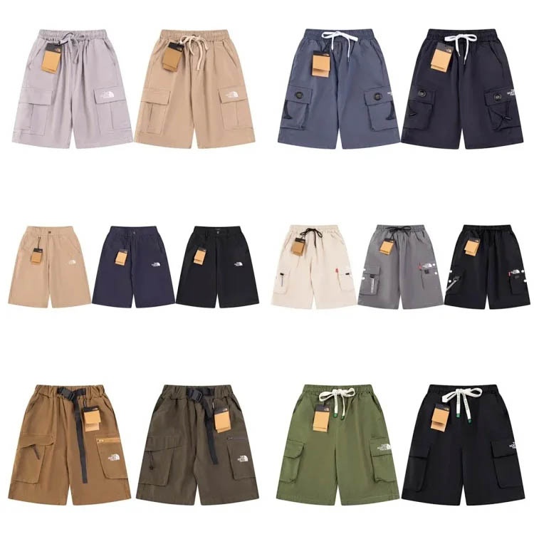 The North face Shorts-0353